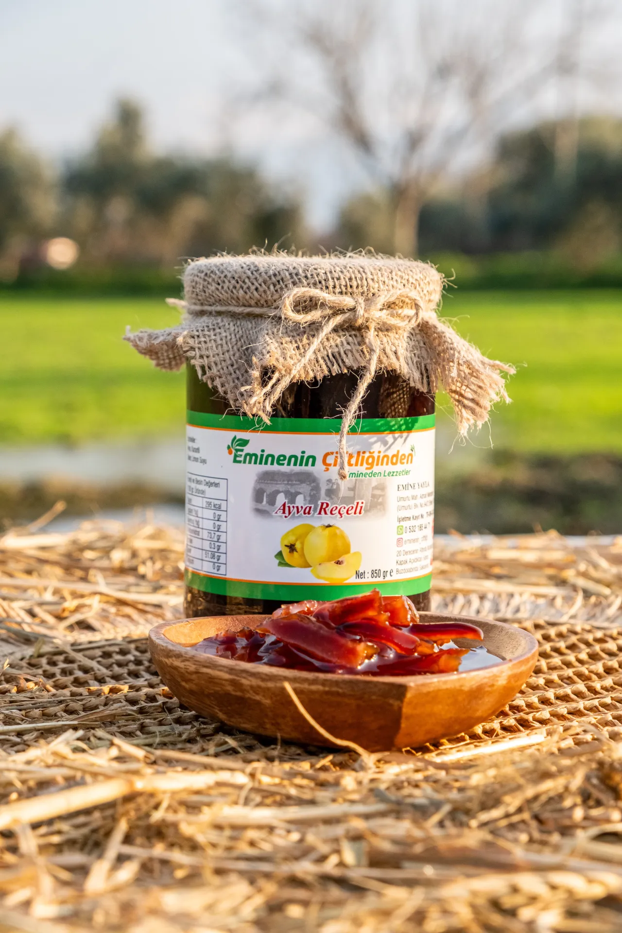 AYVA REÇELİ 850 GR