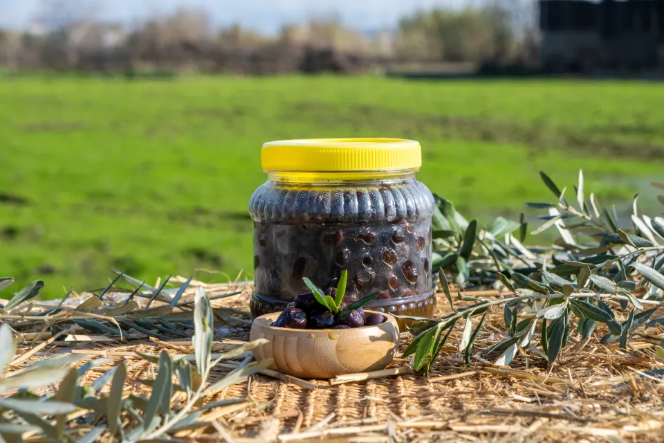 TUZSUZ SELE ZEYTİNİ 1KG