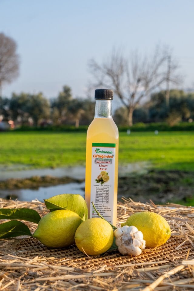 SARIMSAKLI LİMON KÜRÜ 500 ML